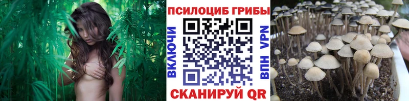 Купить  Алупка  Псилоцибиновые грибы Magic Shrooms 