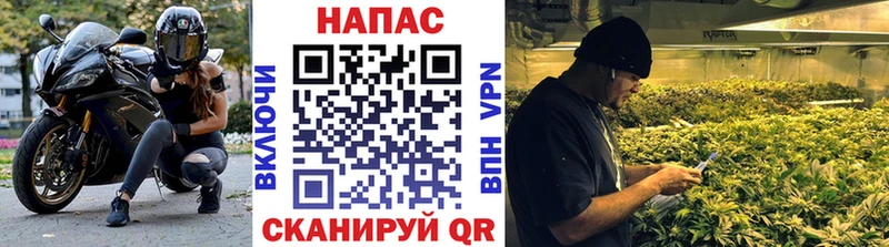 Купить где  Алупка  МАРИХУАНА конопля 